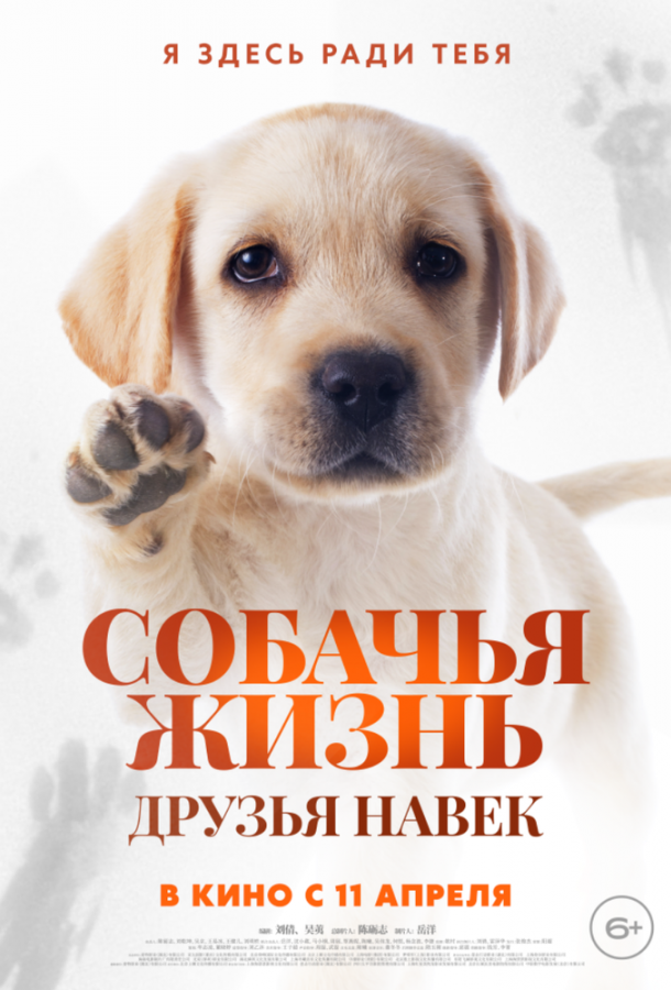 Смотреть Собачья жизнь: Друзья навек